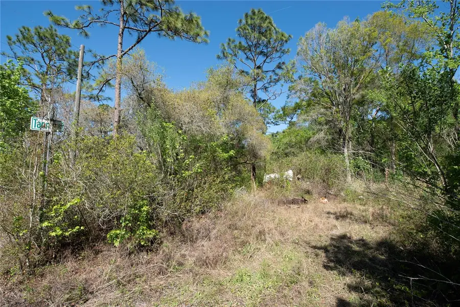 12934 Tanner Road, New Port Richey, FL 34654 - #3