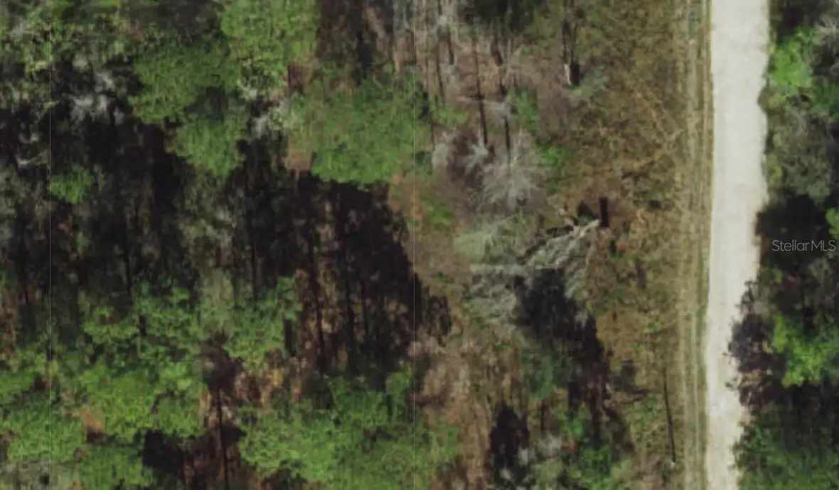 Powell Street, New Port Richey, FL 34654 - #1