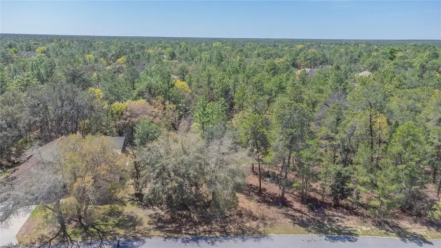 10 Heuchera Court E, Homosassa, FL 34446 - #3