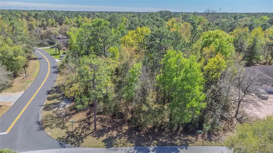 1 Pine Street, Homosassa, FL 34446 - #2