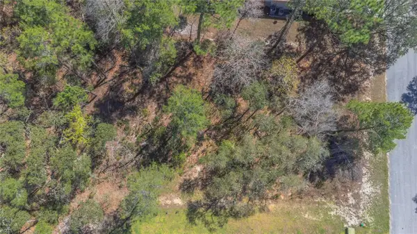 16 Iberis Court, HOMOSASSA, FL 34446