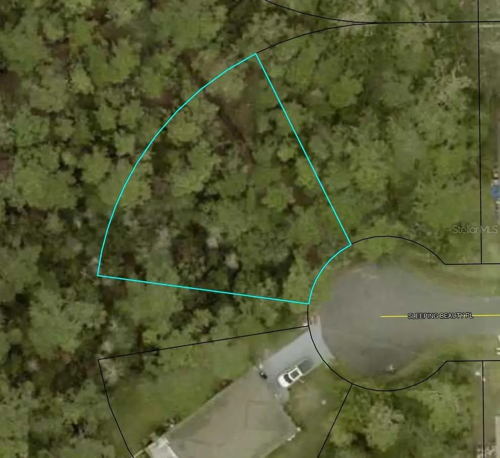 16 Sleeping Beauty Place, Palm Coast, FL 32164 - #1