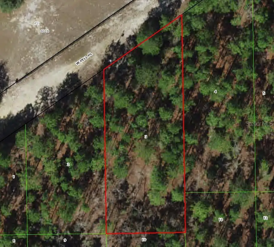 6046 W Pell Place, Dunnellon, FL 34433 - #1