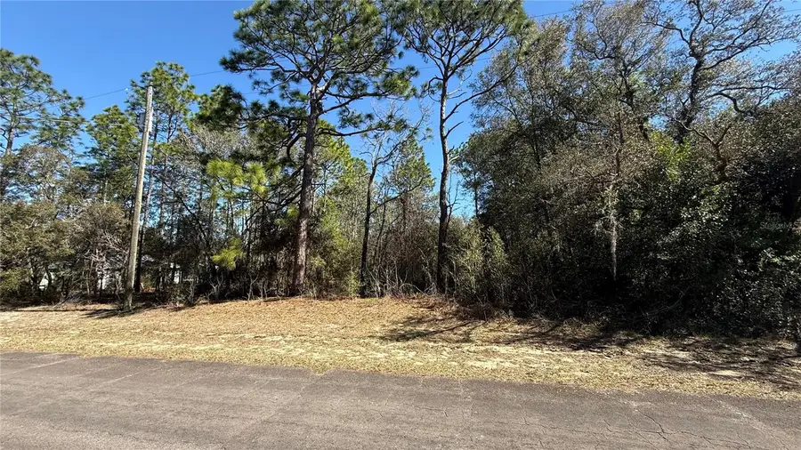 9119 N Alpinia Drive, Citrus Springs, FL 34434 - #2