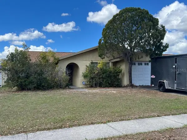 12520 Mondragon Drive, TAMPA, FL 33625