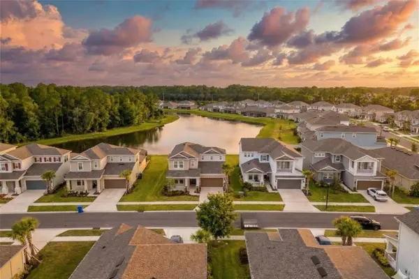 33555 Mainstay Lane, WESLEY CHAPEL, FL 33543