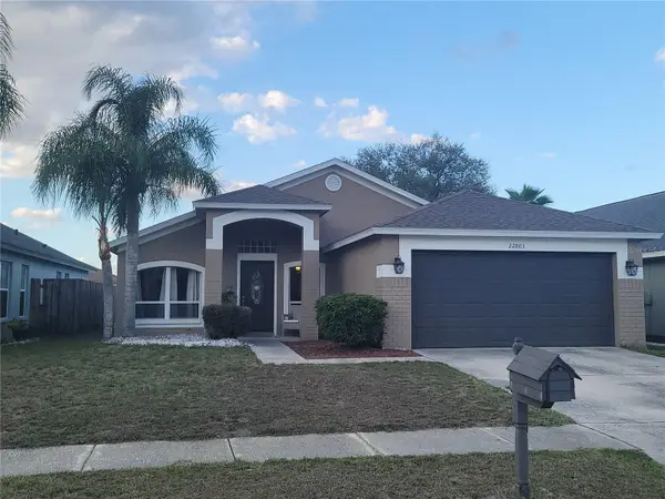 22803 Richardson Lane, LAND O LAKES, FL 34639