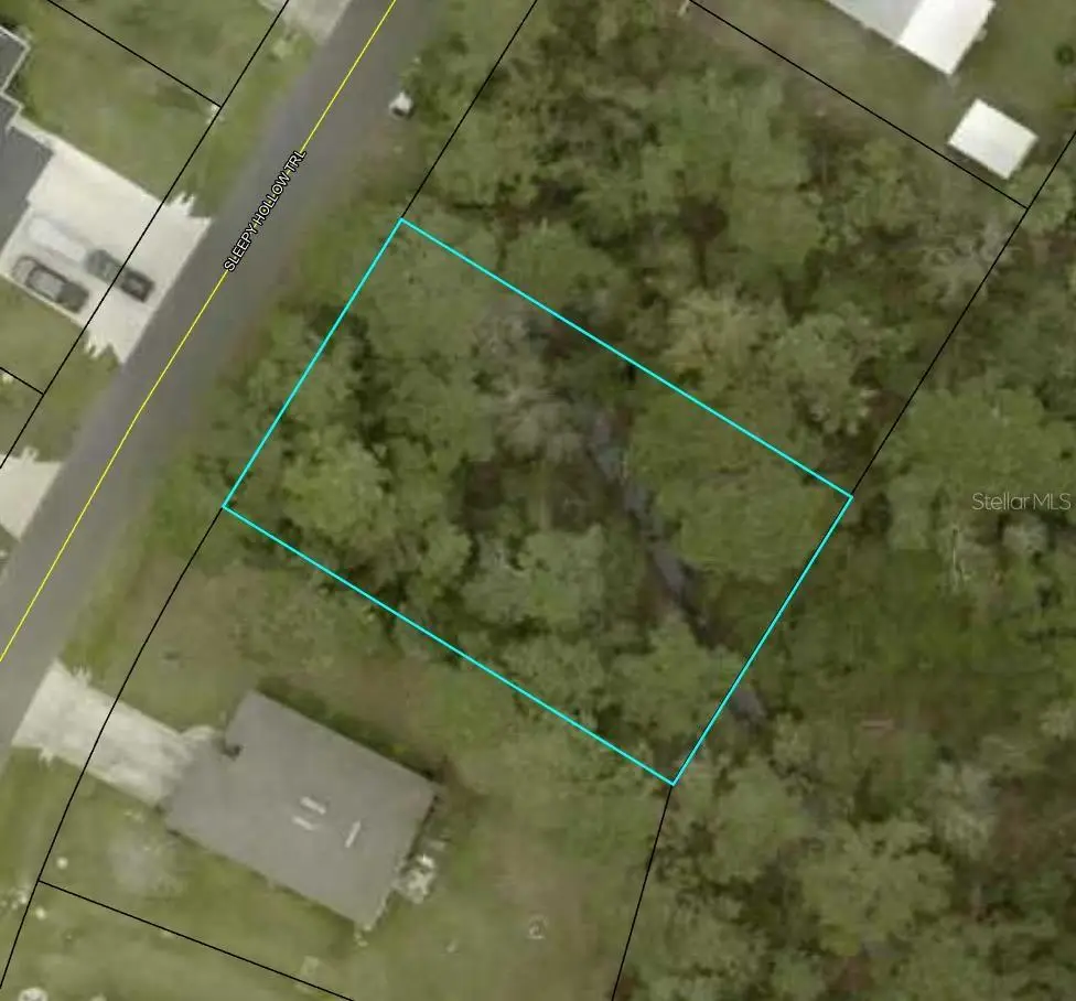 7 Sleepy Hollow Trail, Palm Coast, FL 32164 - #1