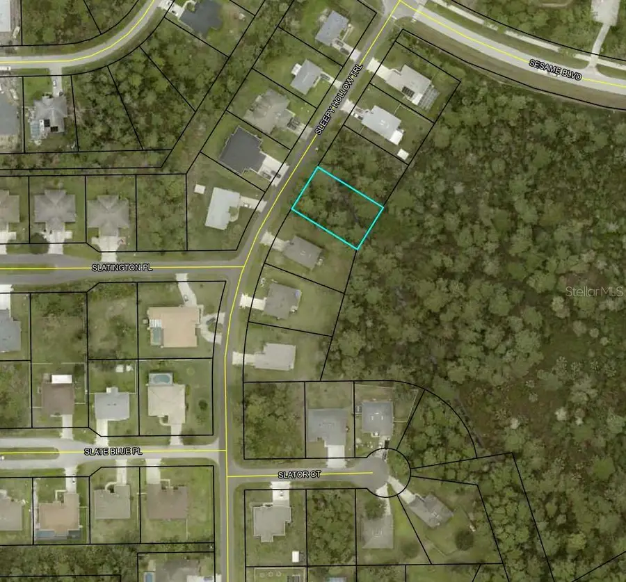 7 Sleepy Hollow Trail, Palm Coast, FL 32164 - #3