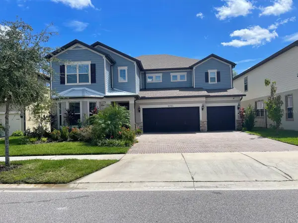 18783 Birchwood Groves Drive, LUTZ, FL 33558