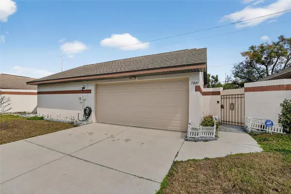 7041 Silvermill Drive, TAMPA, FL 33635