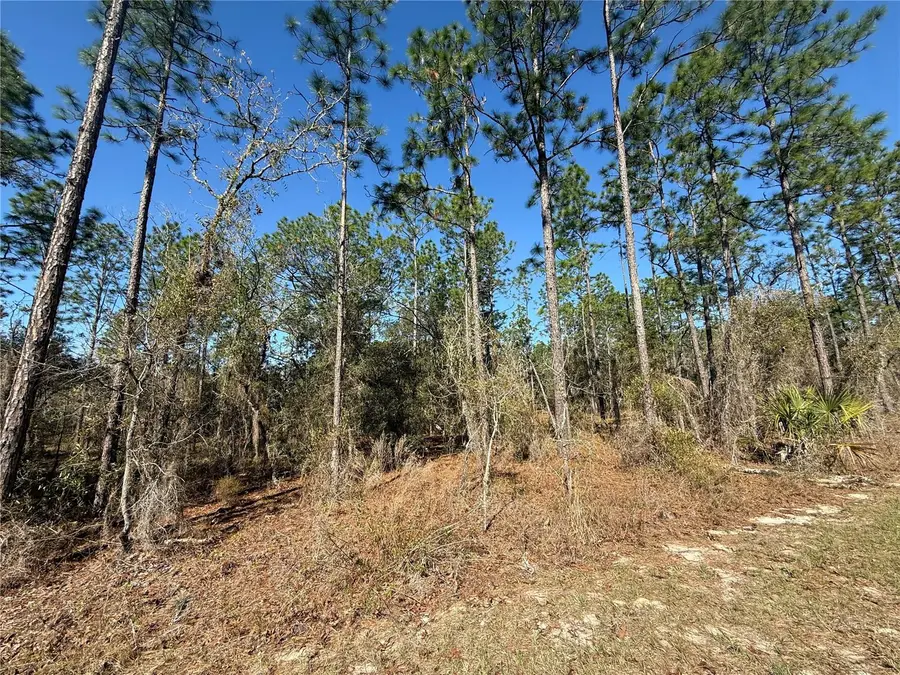 Lot 13 SE 129 Court, Dunnellon, FL 34431 - #2
