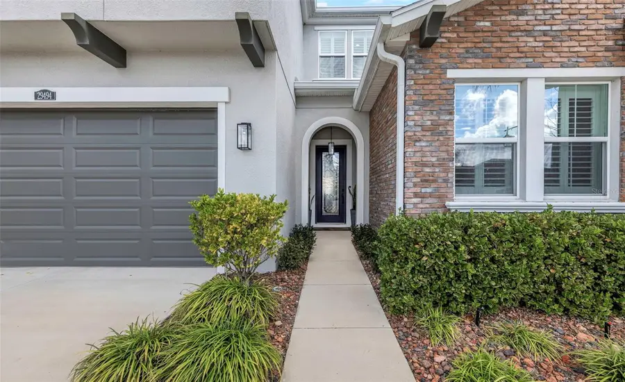 29494 Picana Lane, Wesley Chapel, FL 33543 - #3