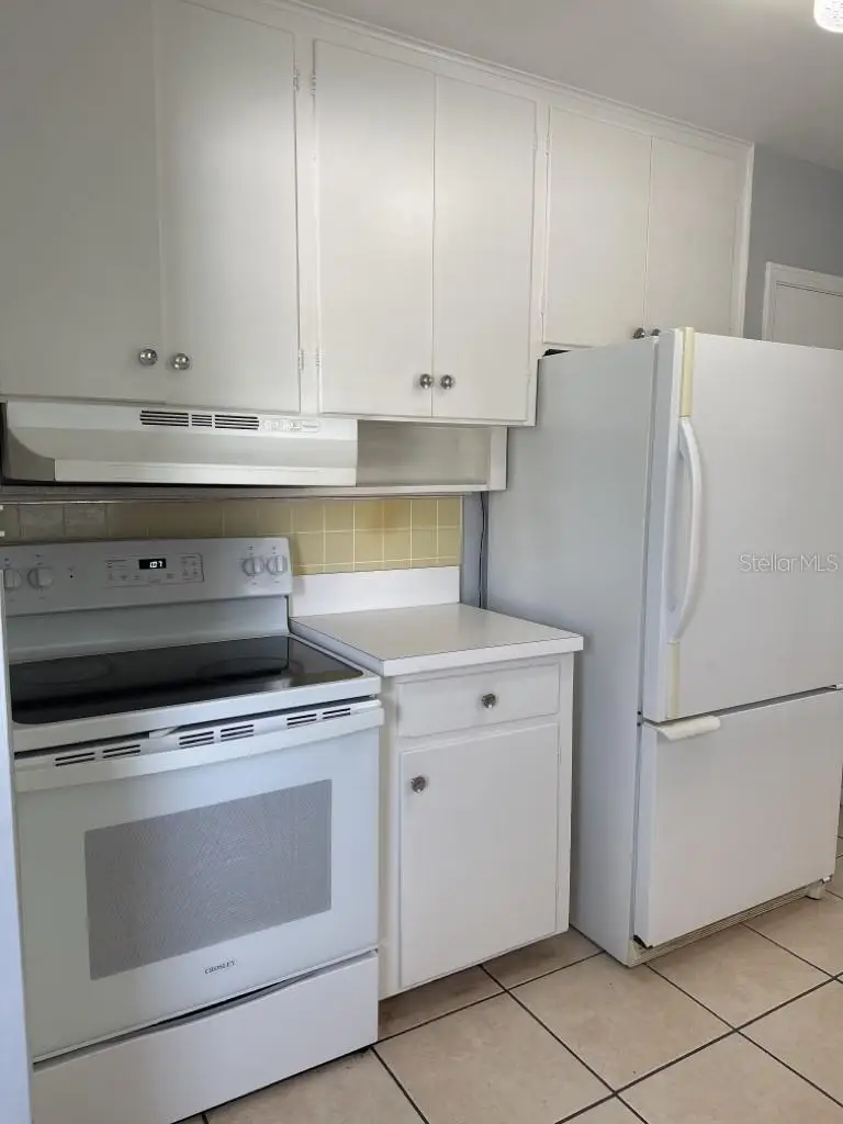 1724 W Eldred Drive, Tampa, FL 33603 - #3