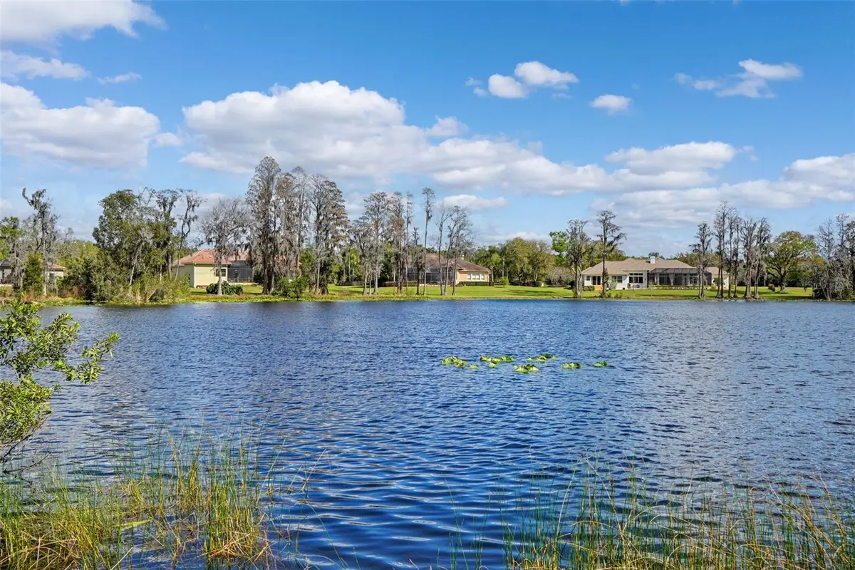 18709 Wayne Road, Odessa, FL 33556 - #1