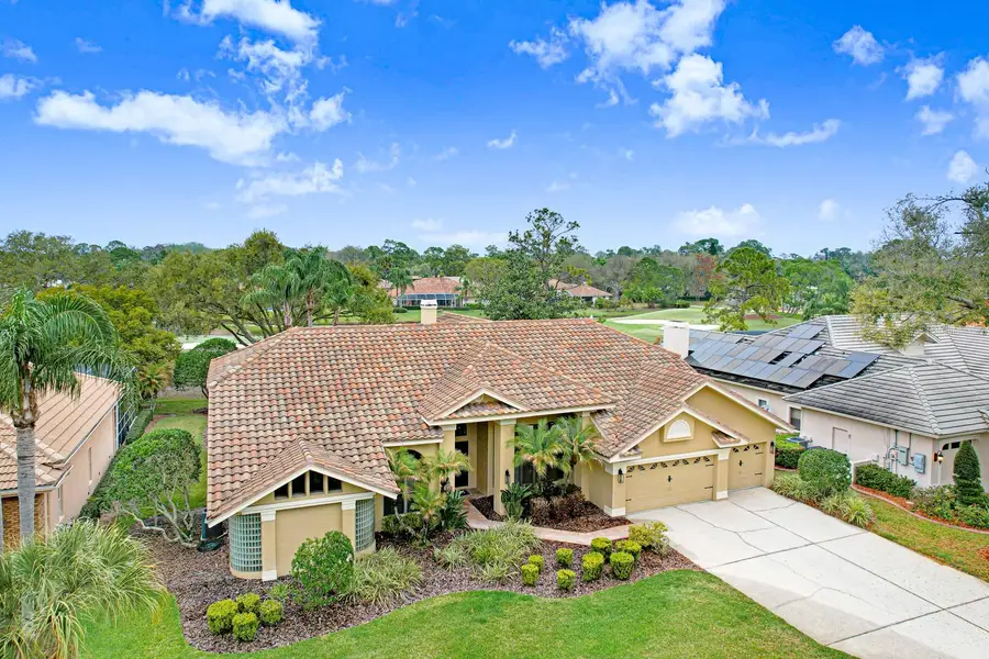 35 Kelleys Trail, Oldsmar, FL 34677 - #3