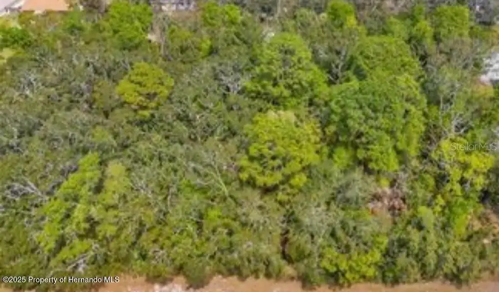 3366 N Annapolis Avenue, Hernando, FL 34442 - #1