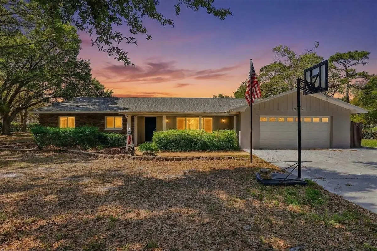 19706 Angel Lane, Odessa, FL 33556 - #1