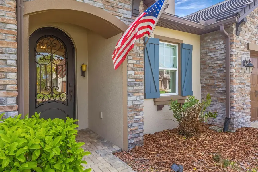 29256 Picana Lane, Wesley Chapel, FL 33543 - #2