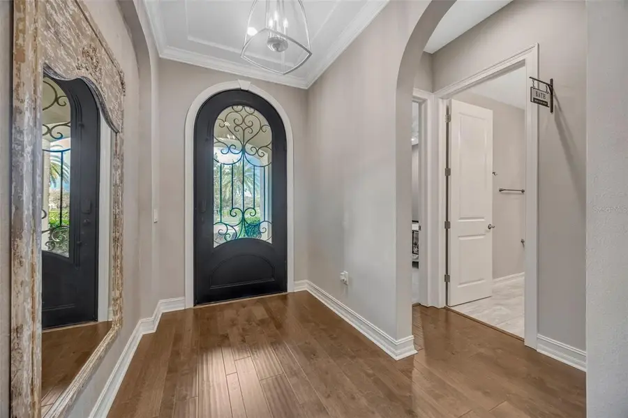 29256 Picana Lane, Wesley Chapel, FL 33543 - #3