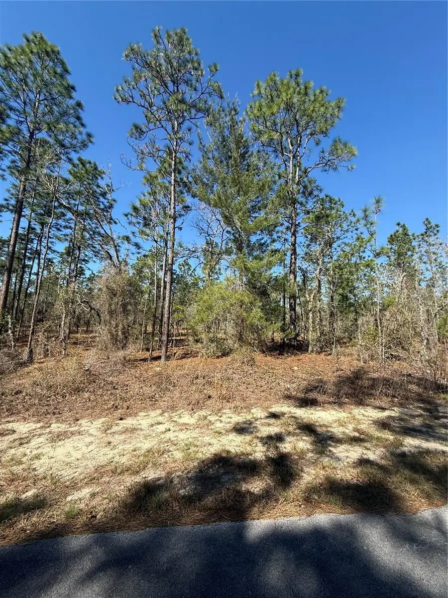 Lot 5 SE 130 Court, Dunnellon, FL 34431 - #2