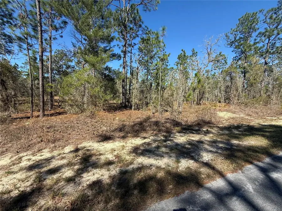 Lot 5 SE 130 Court, Dunnellon, FL 34431 - #3
