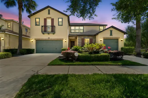 2601 Milford Berry Lane, TAMPA, FL 33618