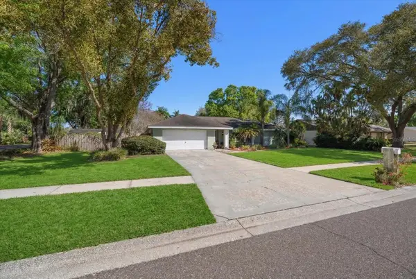 1221 Magdalene Grove Avenue, TAMPA, FL 33613