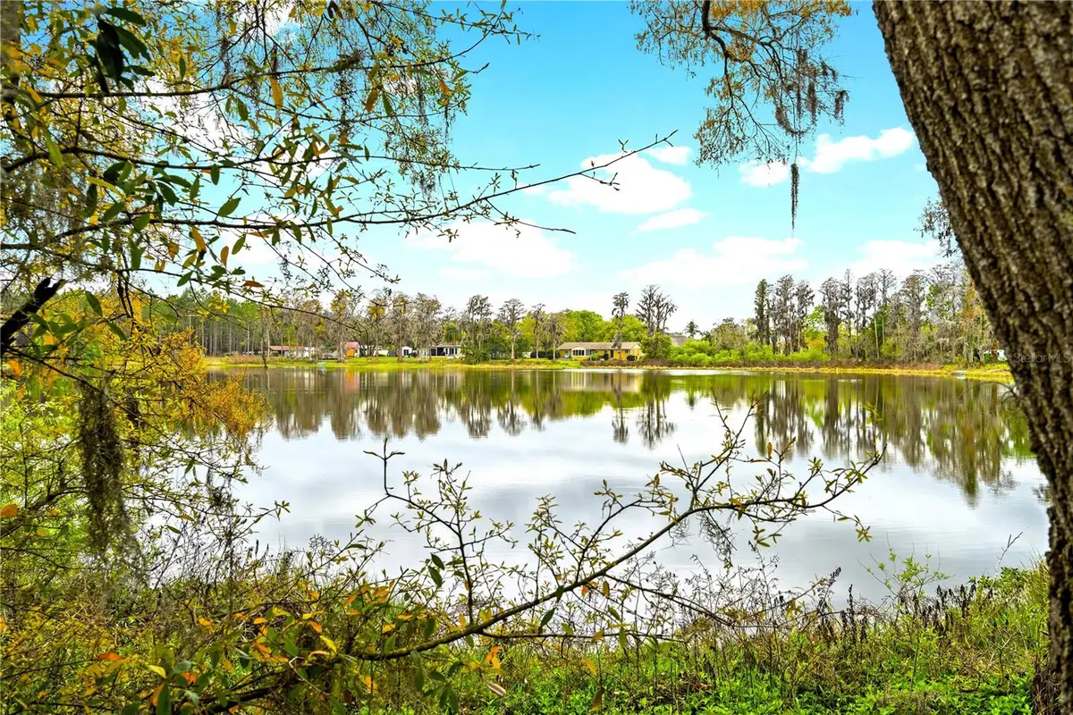 18117 Boy Scout Road, Odessa, FL 33556 - #1