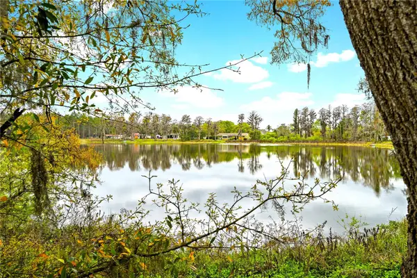 18117 Boy Scout Road, ODESSA, FL 33556