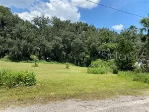 9110 Back Up Road, Tampa, FL 33637 - #1