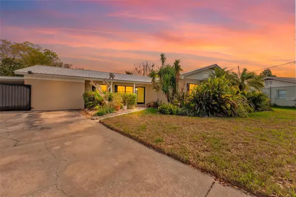 6429 N Gomez Avenue, TAMPA, FL 33614