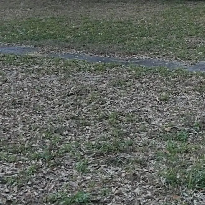 Gadsen Road, Winter Haven, FL 33884 - #1