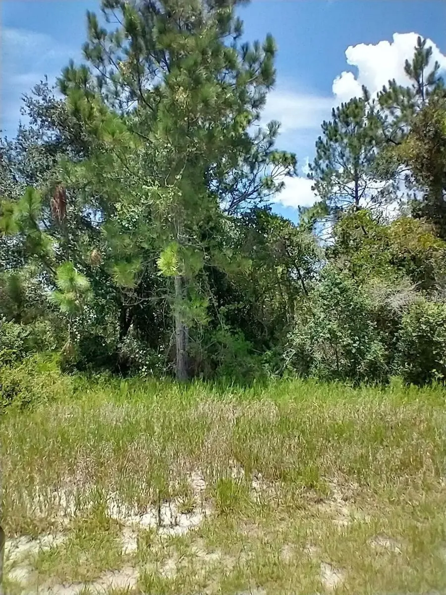 1322 Tallahassee Court, Poinciana, FL 34759 - #1