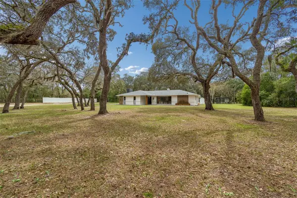 13402 Peace Boulevard, SPRING HILL, FL 34610