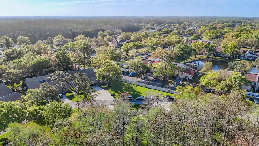 2934 Windmoor Drive S, Palm Harbor, FL 34685 - #3