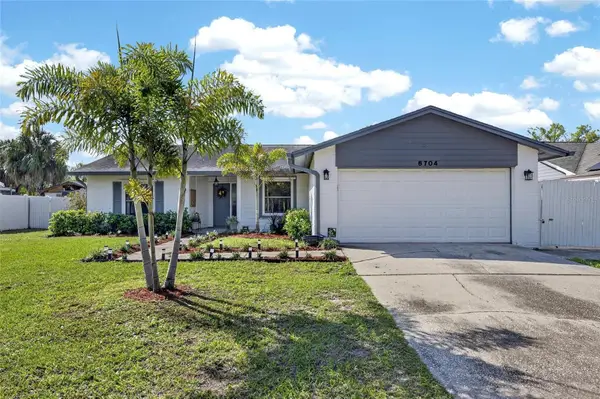 6704 Rosemary Drive, TAMPA, FL 33625