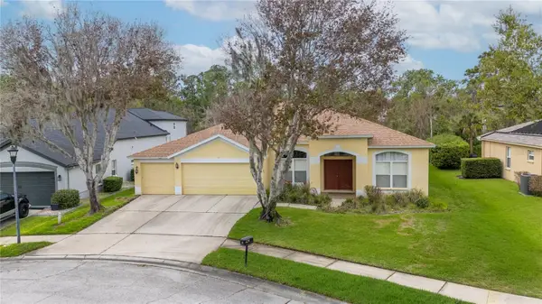 6111 Heroncrest Court, LITHIA, FL 33547