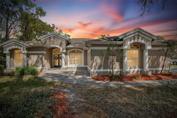 5838 Audubon Manor Boulevard, LITHIA, FL 33547