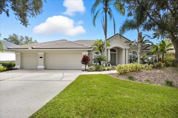 17923 Arbor Greene Drive, TAMPA, FL 33647