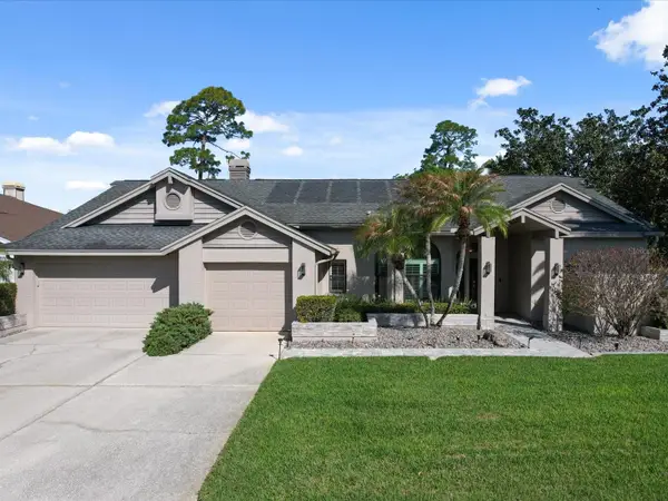 10 Windrush Court, OLDSMAR, FL 34677