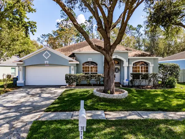 3732 Hollow Wood Drive, VALRICO, FL 33596