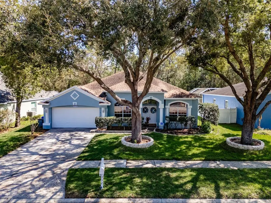 3732 Hollow Wood Drive, Valrico, FL 33596 - #2