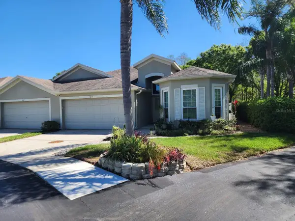 10115 Mowry Lane, TAMPA, FL 33625