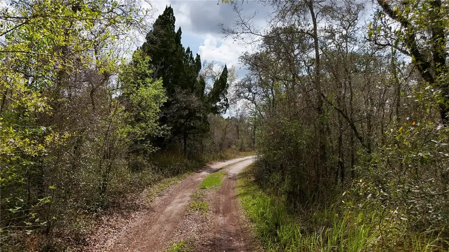 12120 Phyllis Lane, Hudson, FL 34669 - #2