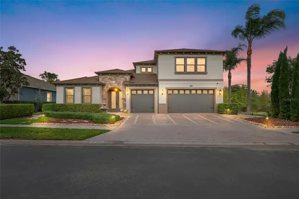 31335 Driscoll Drive, WESLEY CHAPEL, FL 33543