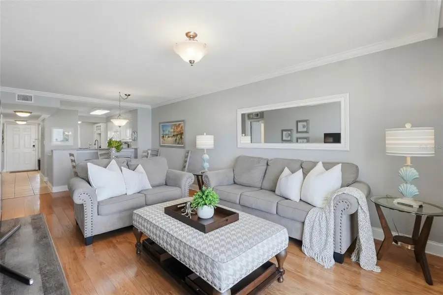 5801 Bahia Del Mar Circle #410, Saint Petersburg, FL 33715 - #3