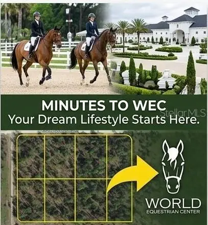 SW 134 Ave, Dunnellon, FL 34432 - #3