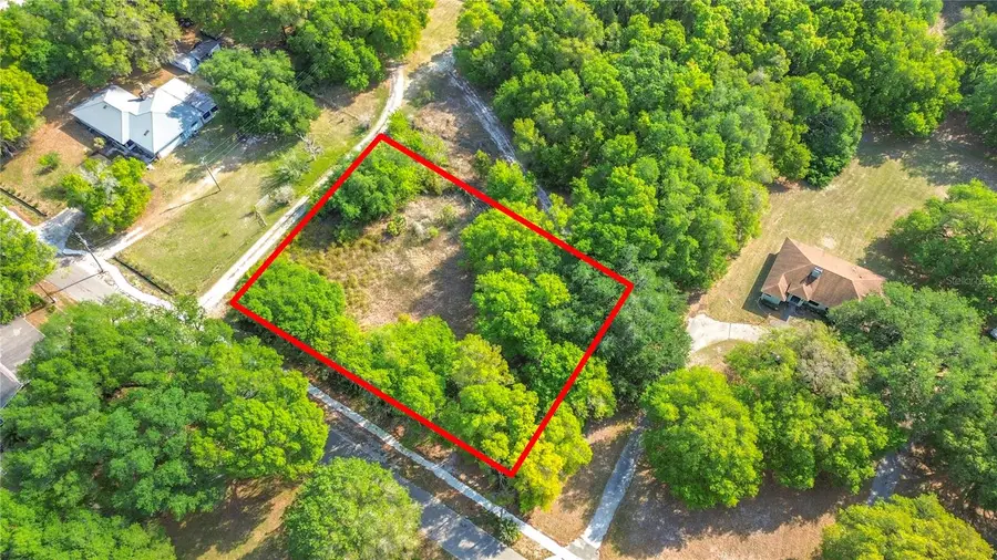 County Road 213, Wildwood, FL 34785 - #2