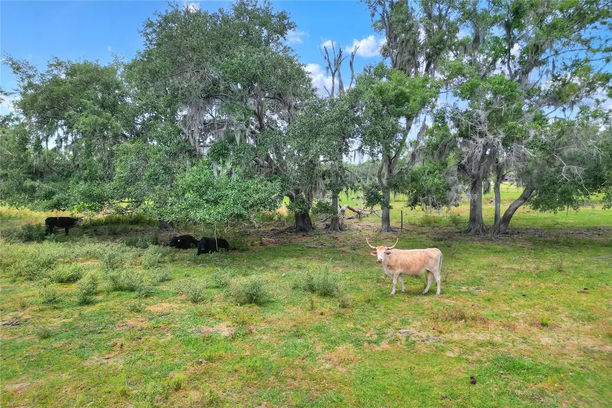 0 S Cr 39, Lithia, FL 33547 - #1